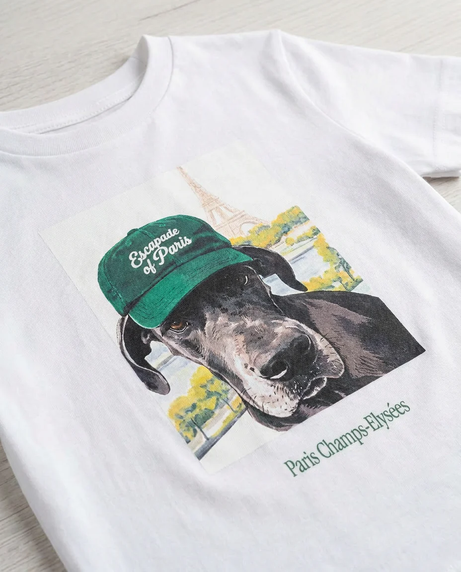 Boys Printed Half Sleeves T-shirt - Image 4