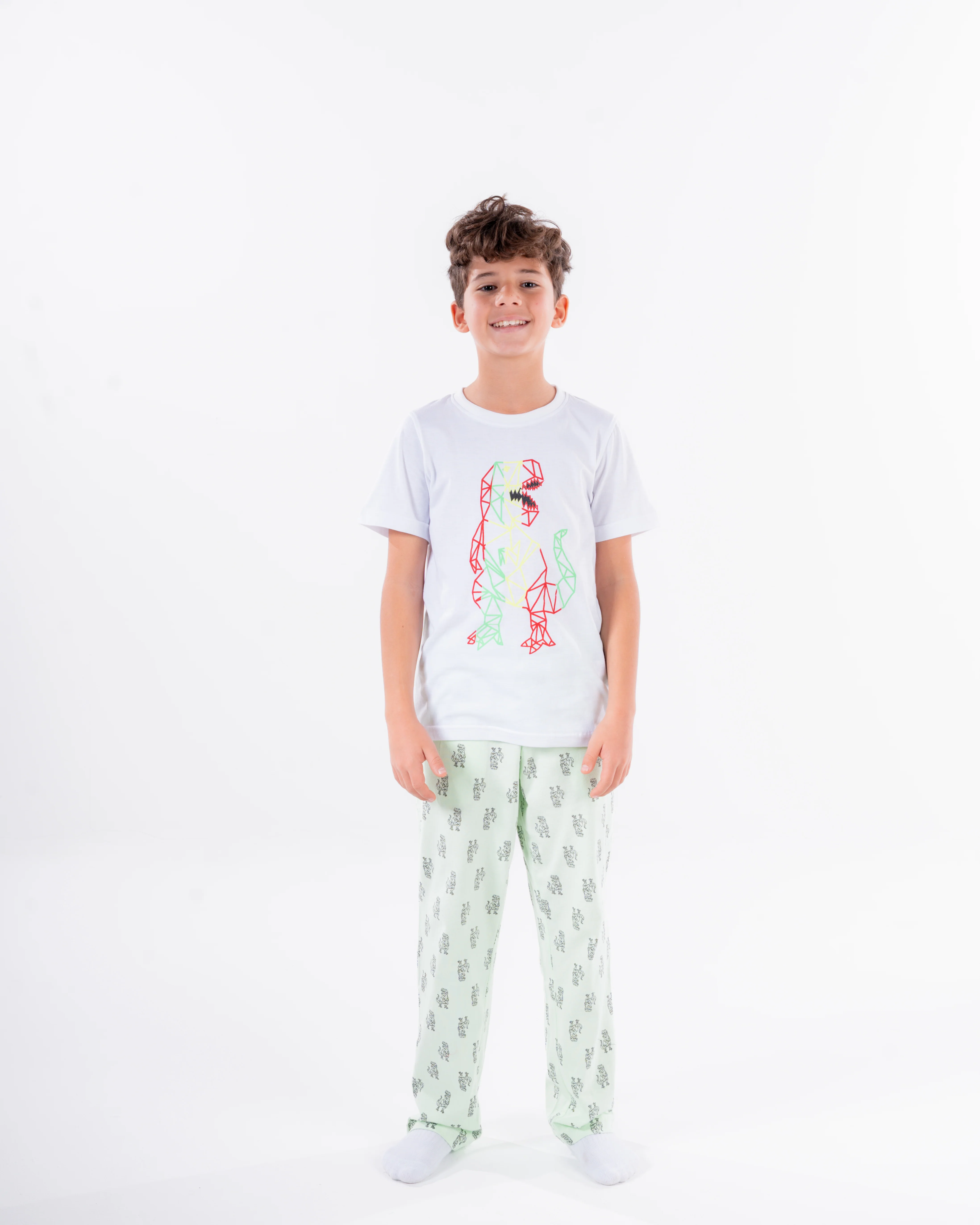 Boys Printed Short Sleeves Pyjama