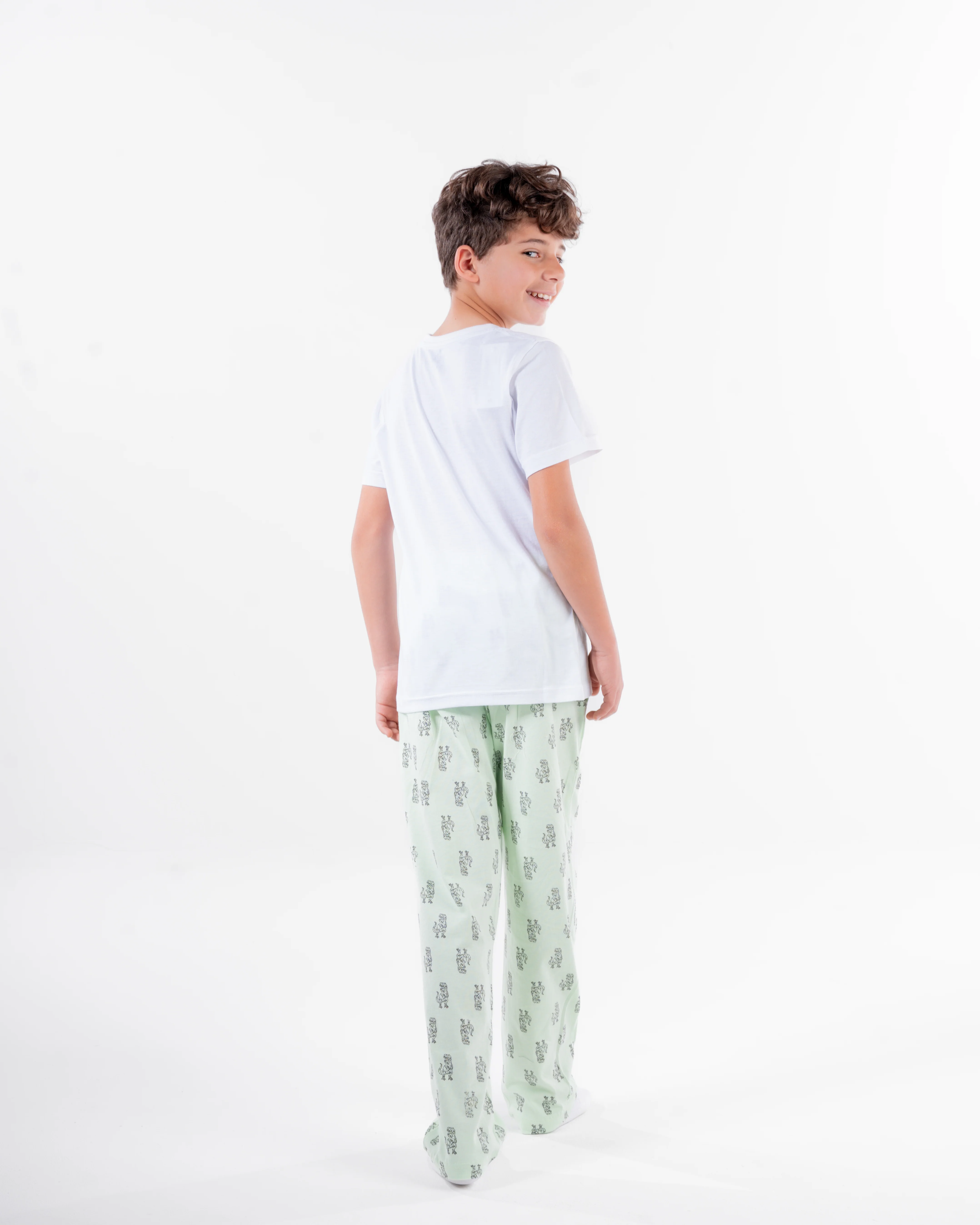 Boys Printed Short Sleeves Pyjama - Image 4